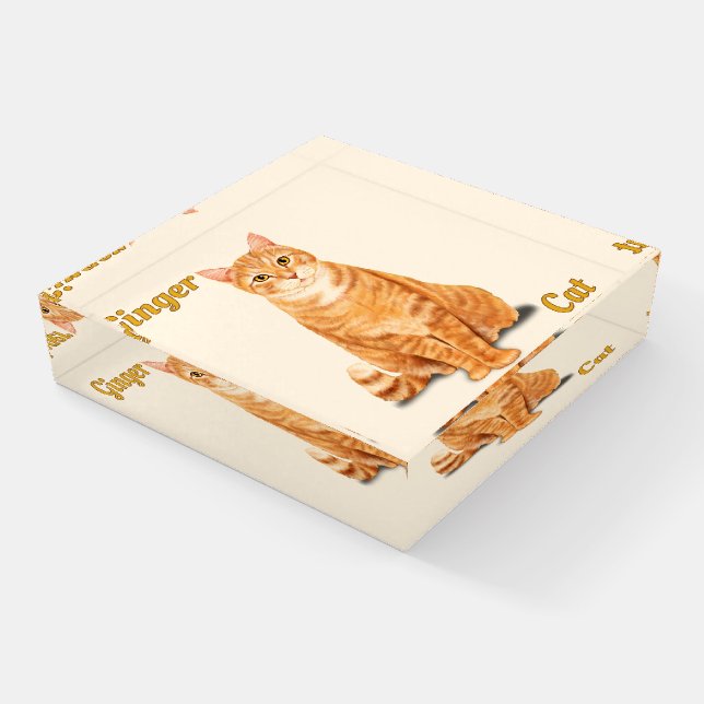 Ginger Orange Tiger Tabby Cat Personalized Paperweight (Angled)