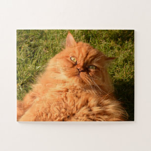 GINGER PERSIAN CAT JIGSAW PUZZLE