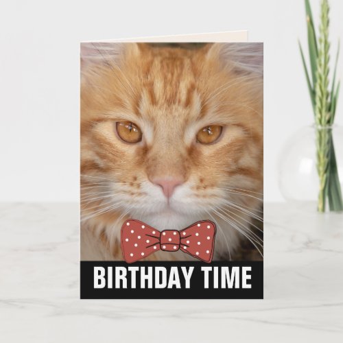 GINGER RED CAT BIRTHDAY CARDS