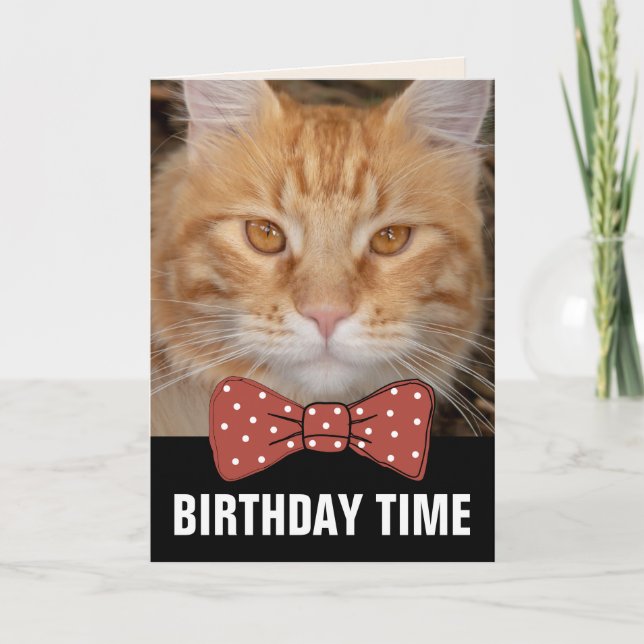 GINGER RED CAT BIRTHDAY CARDS (Front)