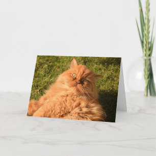 GINGER RED CAT "CHILL" HELLO ANY OCCASION CARD