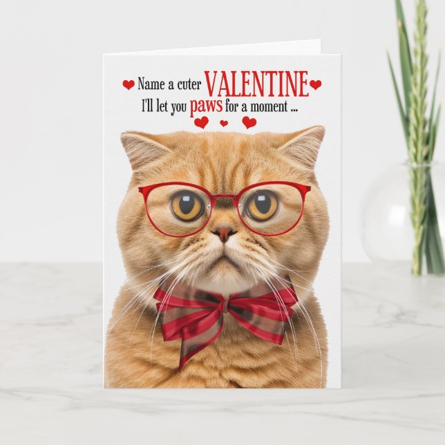 Ginger Scottish Fold Cat Valentine Feline Humor Holiday Card (Front)