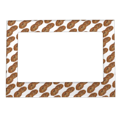 Ginger Snaps Gingersnap Biscuit Ginger Nut Cookies Magnetic Frame