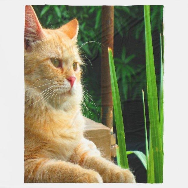 Ginger Tabby Cat Meditation Fleece Blanket (Front)