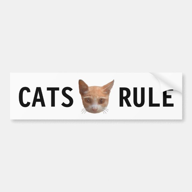 Ginger Tabby Kitty Cat Bumper Sticker (Front)