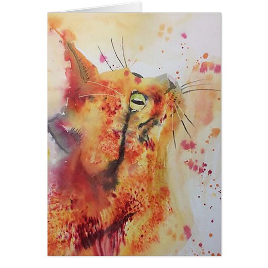 ginger tom cards (Front)