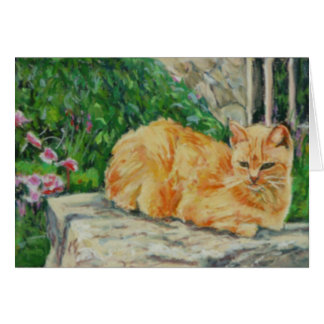 Ginger Tom Cat Cards