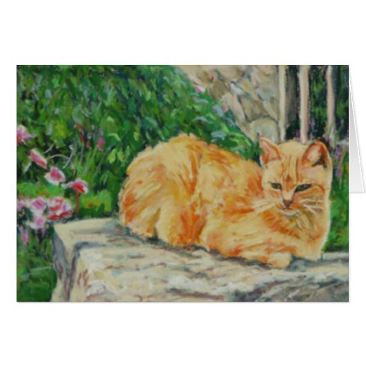 Ginger Tom Cat Cards (Front Horizontal)