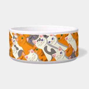 Ginger white black cat diagonal pattern bowl