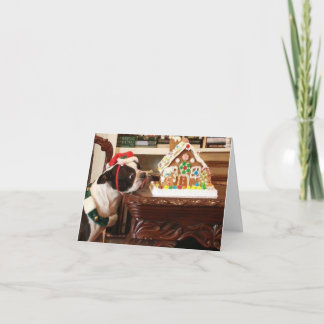 Gingerbread House Christmas Card Boston terrier