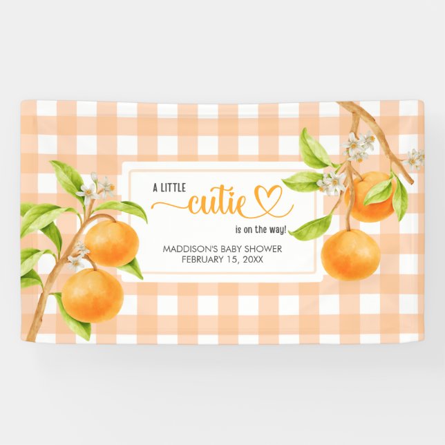 Gingham Orange Baby Shower Banner (Horizontal)