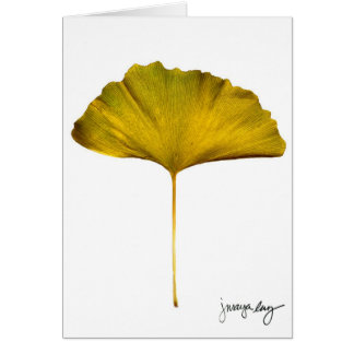 "Gingko" by J. Maya Luz Cards