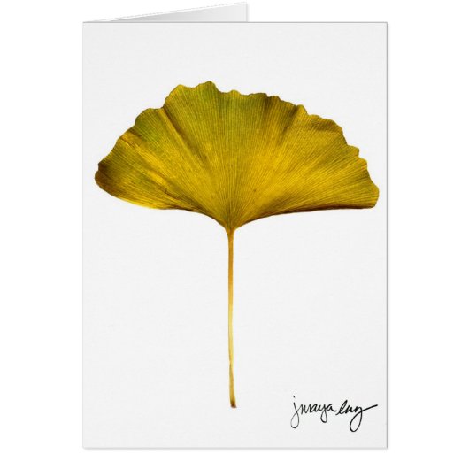 "Gingko" by J. Maya Luz Cards (Front)