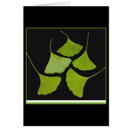 gingko leaves card (Front)