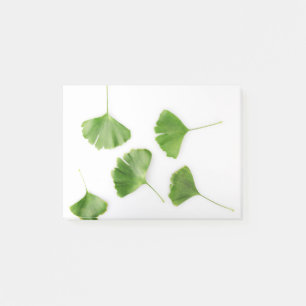 Ginkgo Biloba Leaf Against White Background Post-it Notes