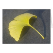 Ginkgo Biloba Leaf Card (Front Horizontal)
