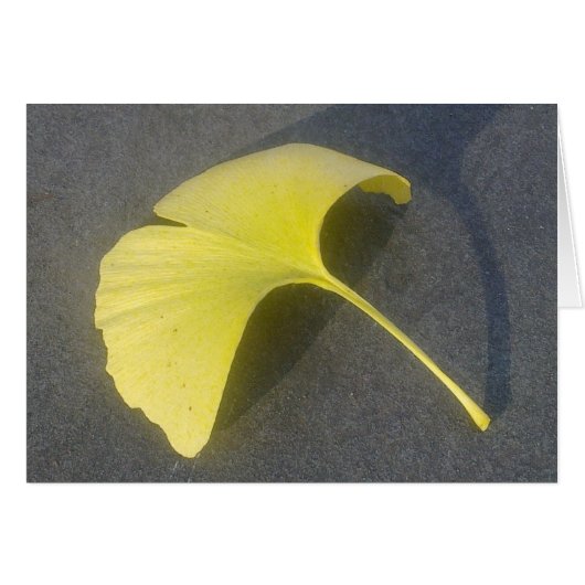 Ginkgo Biloba Leaf Card (Front Horizontal)