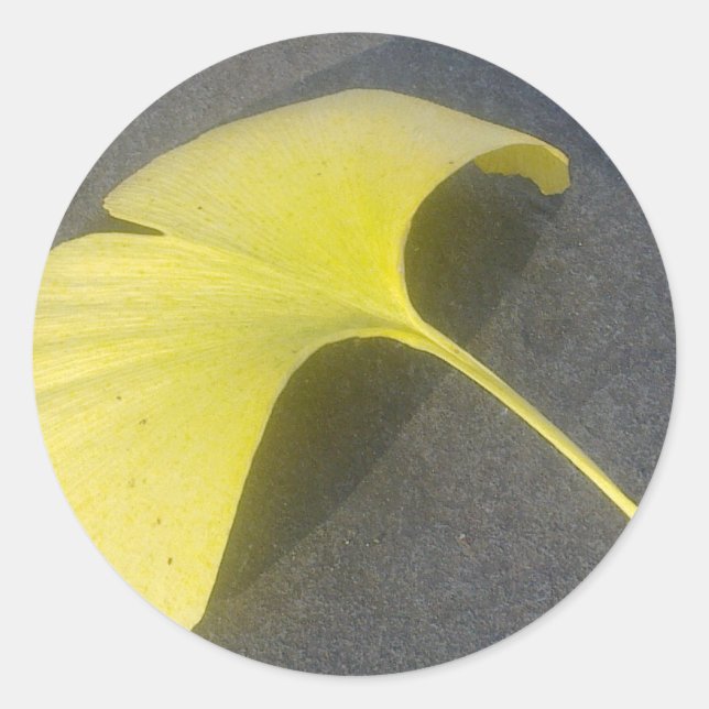 Ginkgo Biloba Leaf Sticker (Front)