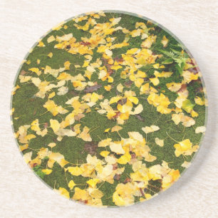 Ginkgo biloba leaves drink coaster
