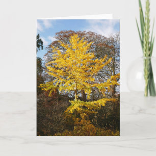 Ginkgo Biloba Tree Card