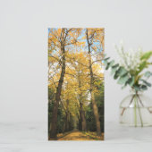 Ginkgo biloba trees (Standing Front)