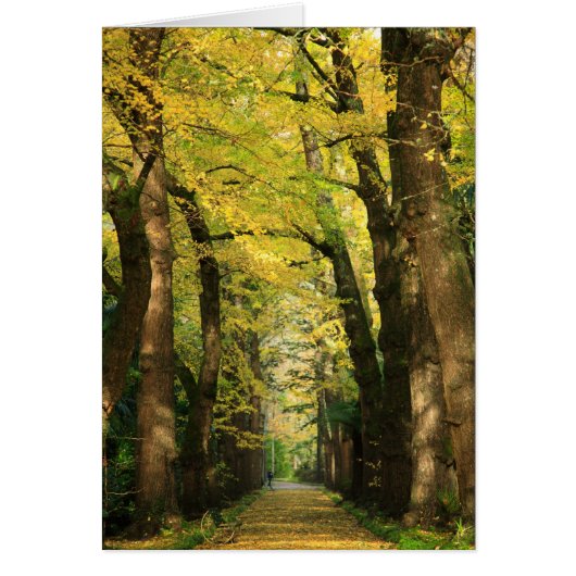 Ginkgo Biloba trees Cards (Front)