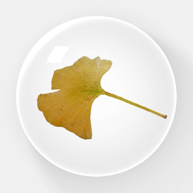 Ginkgo Leaf Paperweight (Front)