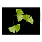 Ginkgo Leaves (Front Horizontal)