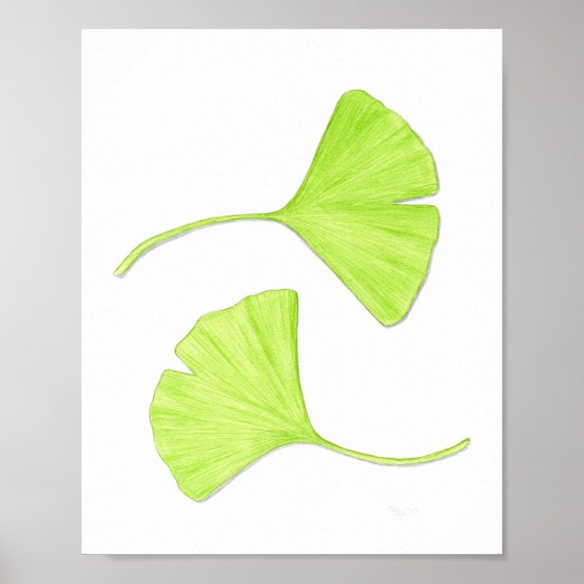 Ginkgo Leaves Fine Art Print (Front)