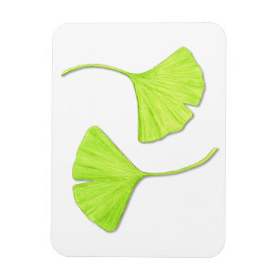Ginkgo Leaves Flexi Magnet