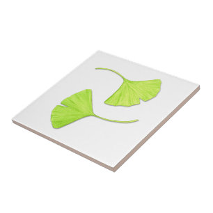 Ginkgo Leaves Nature Art Tile