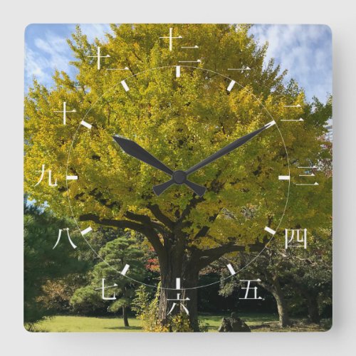 Ginkgo Tree of Golden Yellow Square Wall Clock