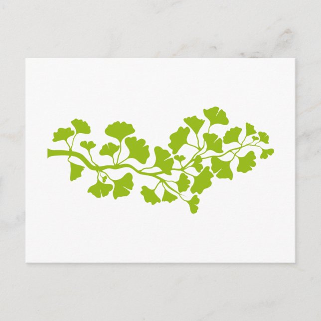 ginkgo tree silhouette with green leaves postcard (Front)