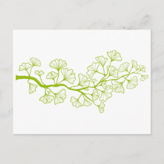 ginkgo tree with green leaves postcard