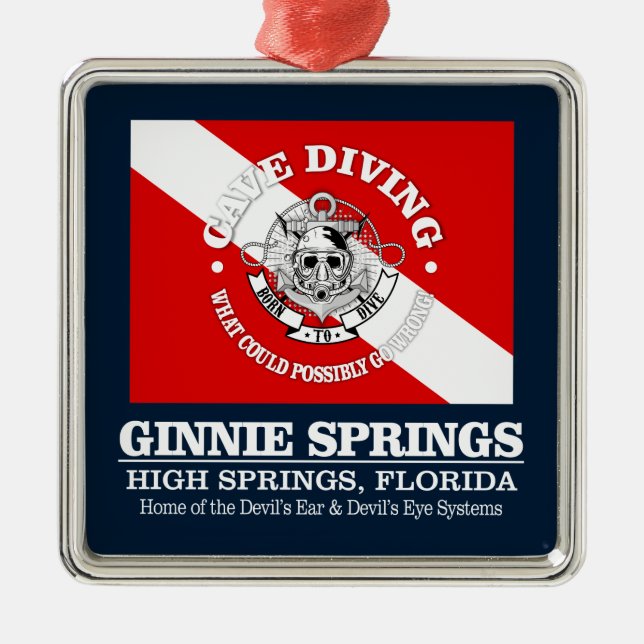Ginnie Springs (best caves) Metal Ornament (Front)