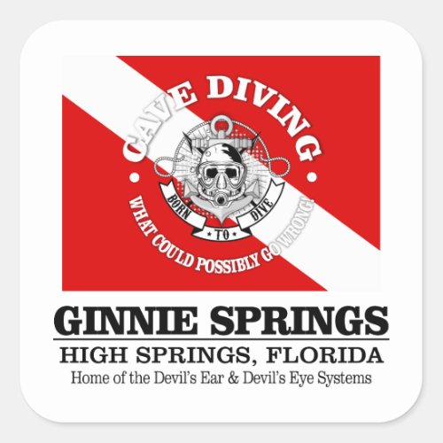 Ginnie Springs best caves Square Sticker
