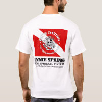Ginnie Springs (best caves)