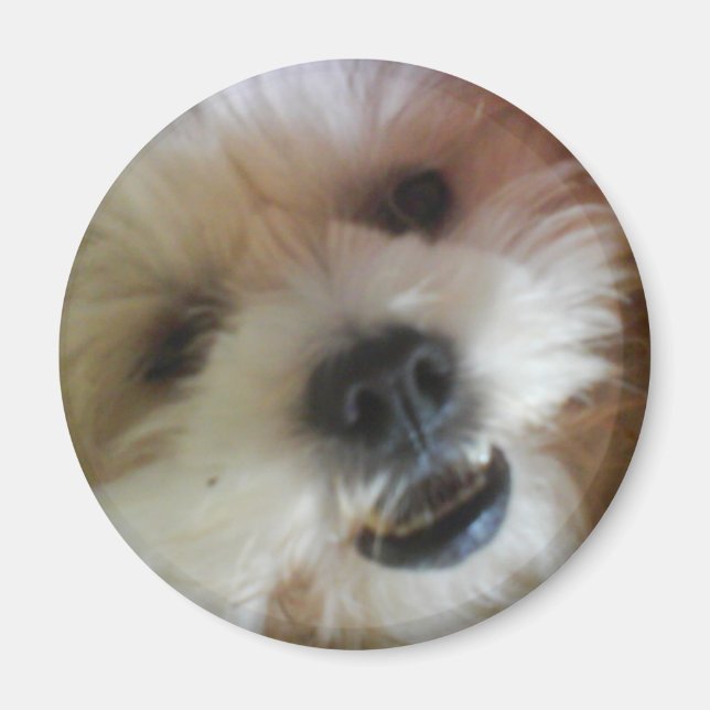 Ginny Pop Magnet (Front)