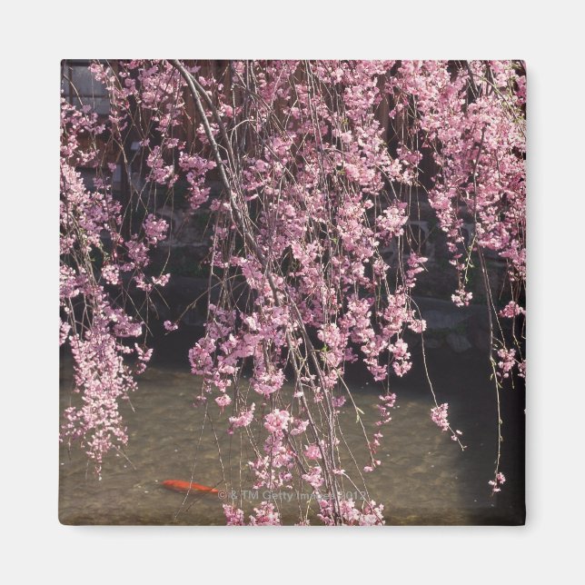 Gion, Kyoto Prefecture, Japan Magnet (Front)