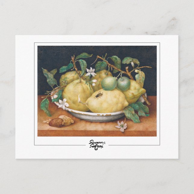 Giovanna Garzoni #4 - Fine Art Postcard (Front)