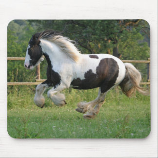 Gipsy horse mousepad