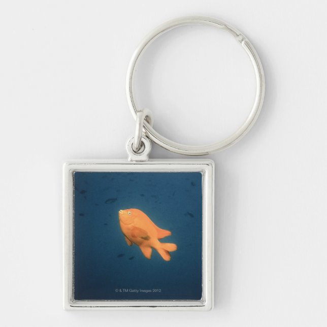 Girabaldi Keychain (Front)