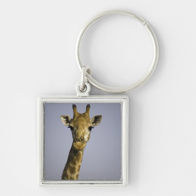 Giraffa Camelopardalis Keychain (Front)