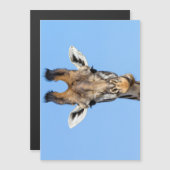 Giraffe (Front/Back)