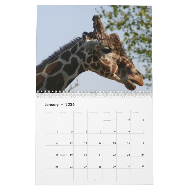 Giraffe 2010 calendar (Jan 2026)