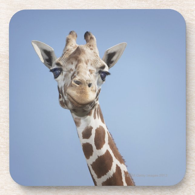 Giraffe 2 drink coaster (Front)