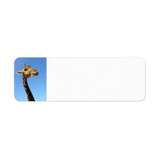 giraffe-468948 FUNNY HUMOR WILD ANIMALS ATTITUDE L Label