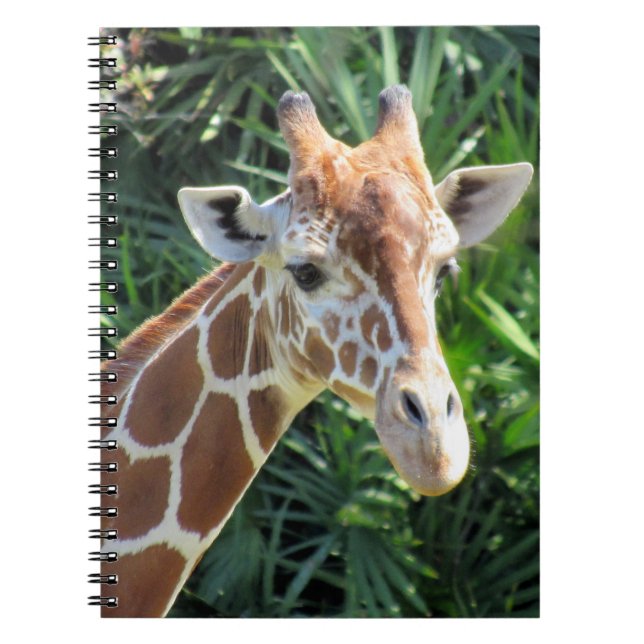 Giraffe - 6.5 x 8.75 Notebook (Front)