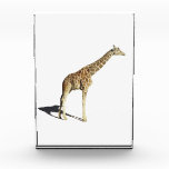 Giraffe Acrylic Award