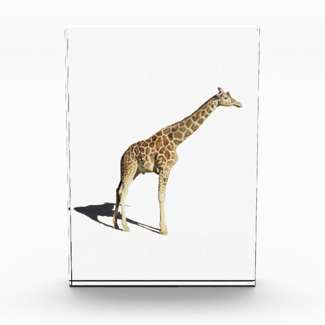 Giraffe Acrylic Award (Front)